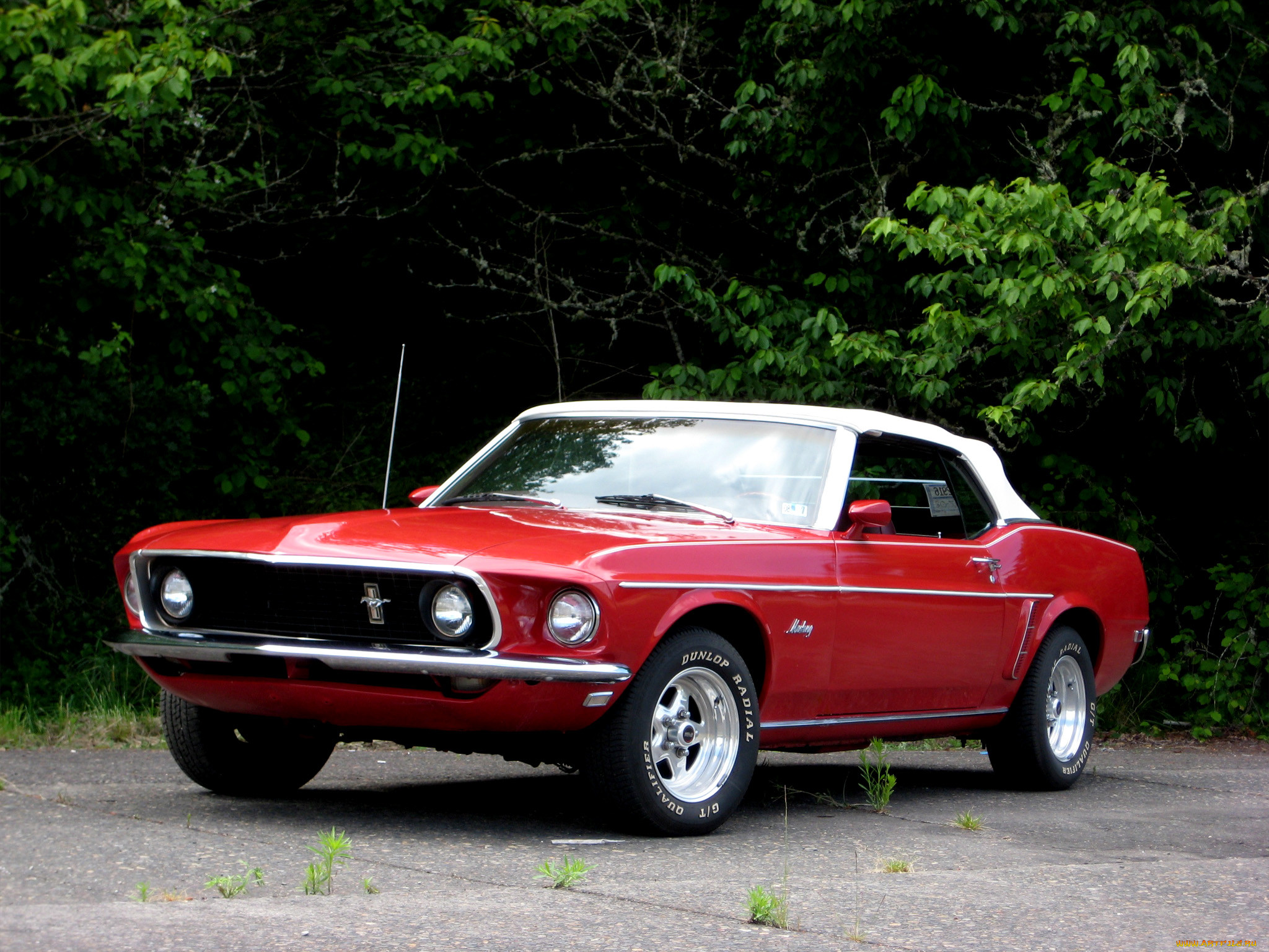 , ford
